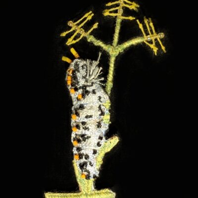 Trovelore Swallowtail Caterpillar Embellished Pin