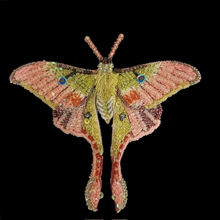 Trovelore Moon Moth Embellished Pin